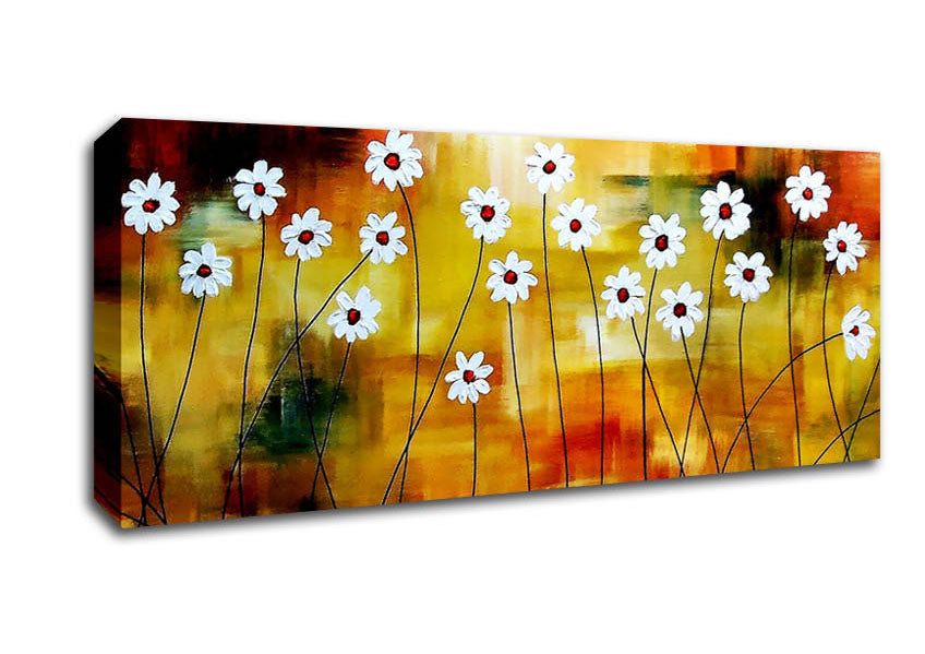 Picture of Daisy Whites Panoramic Canvas Wall Art