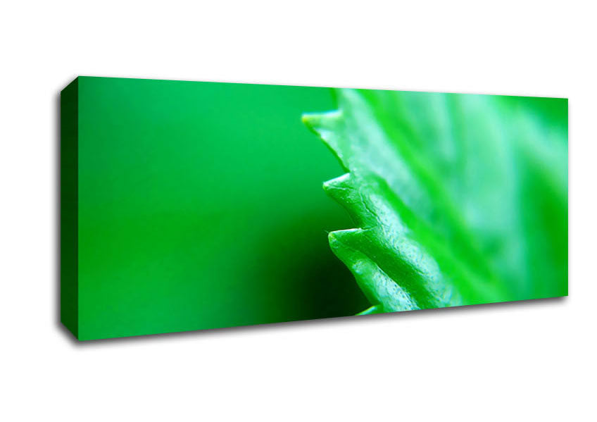 Picture of Jagged Green Leaves Panoramic Canvas Wall Art