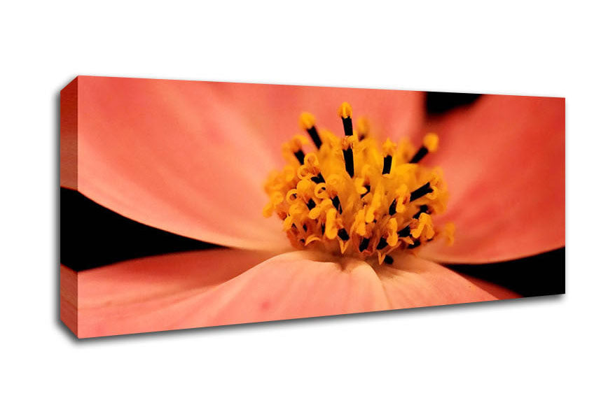 Picture of Orange Petal Beauty Panoramic Canvas Wall Art
