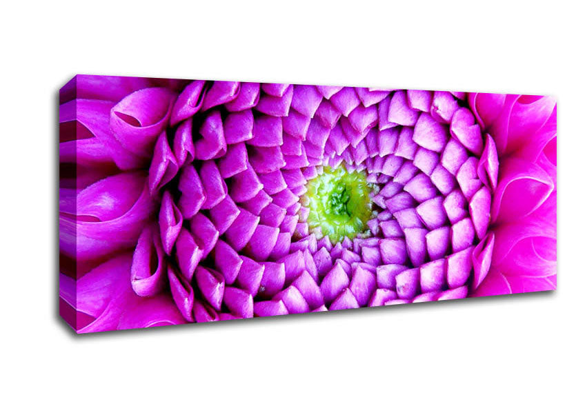 Picture of Pink Petal Ocean Panoramic Canvas Wall Art