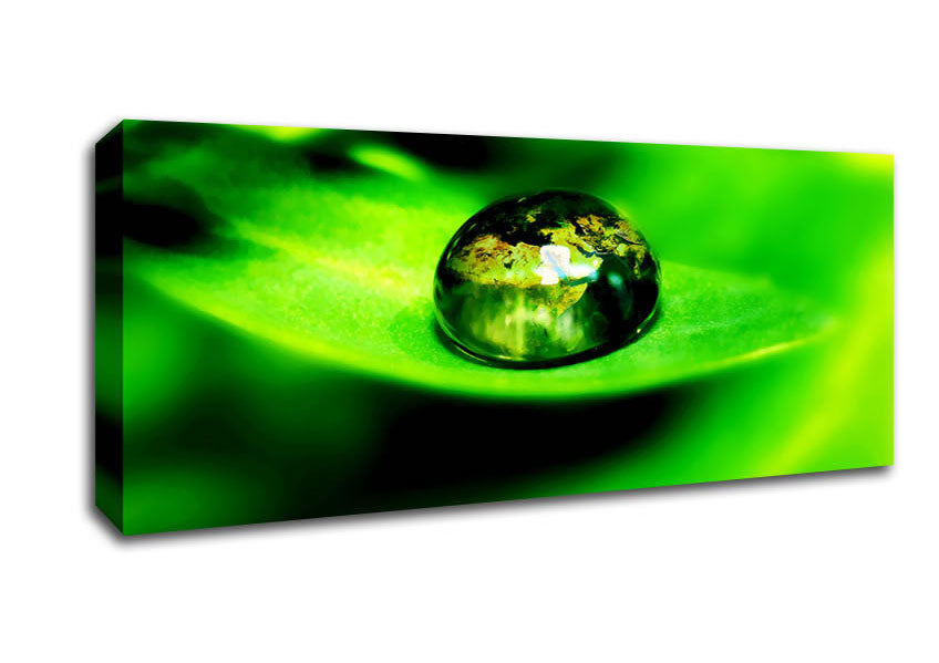 Picture of Green Leave Water Droplet Panoramic Canvas Wall Art