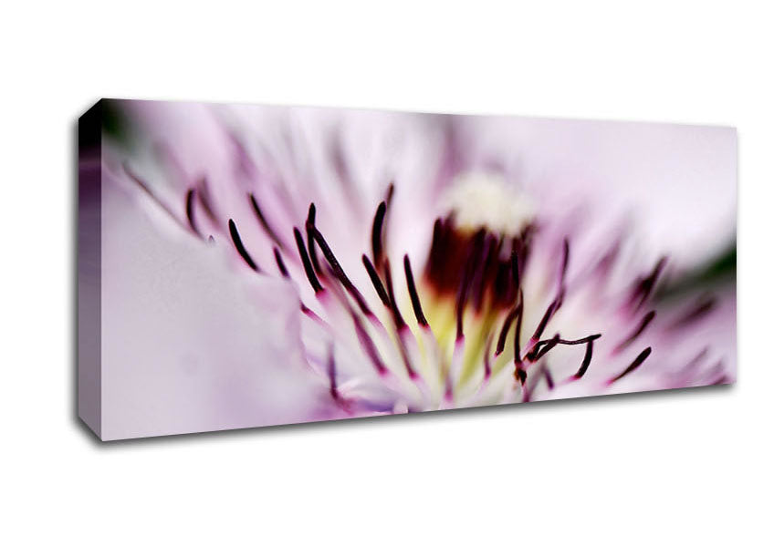Picture of Pink Heaven Centre Panoramic Canvas Wall Art