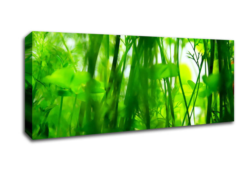 Picture of Fairies Green Jungle Panoramic Canvas Wall Art