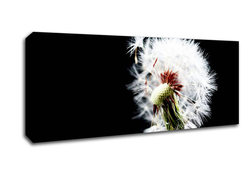 Picture of Dandelion Breeze Panoramic Canvas Wall Art