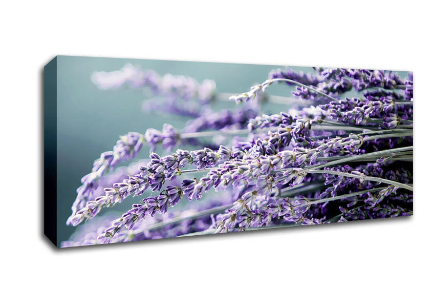 Picture of Heather Panoramic Canvas Wall Art