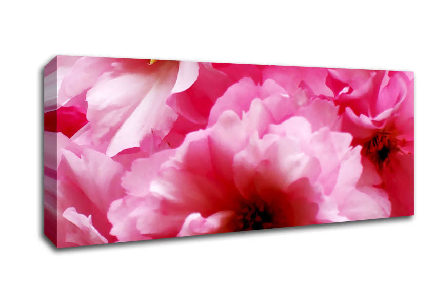 Picture of Pink Heaven Panoramic Canvas Wall Art
