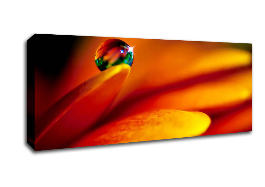 Picture of Fire Petal Reflection Panoramic Canvas Wall Art