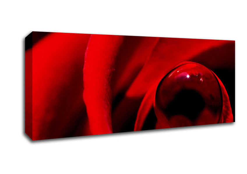 Picture of Red Rose Center Dew Panoramic Canvas Wall Art