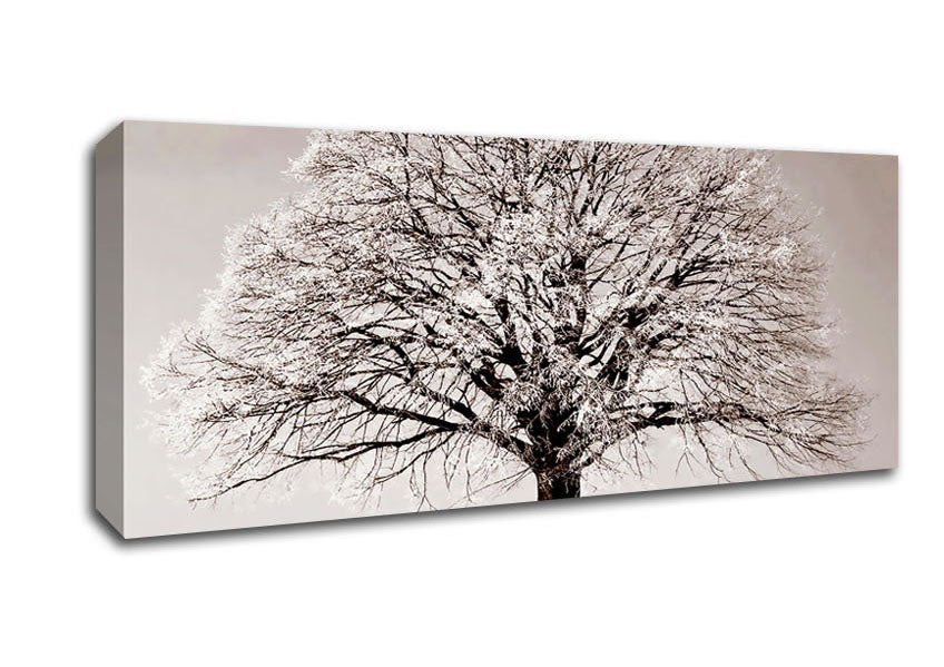 Picture of Lonely Winter Tree Panoramic Canvas Wall Art