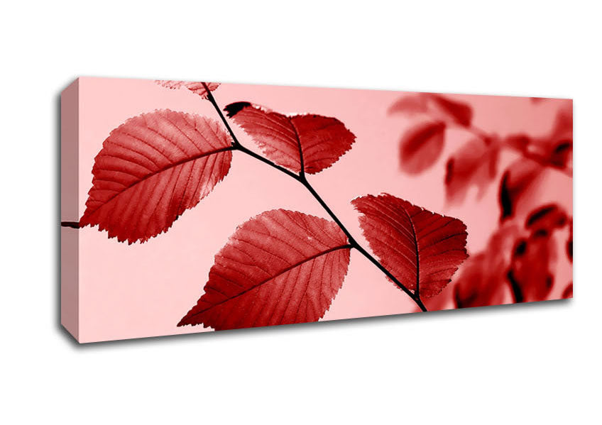 Picture of Red Leaves Panoramic Canvas Wall Art