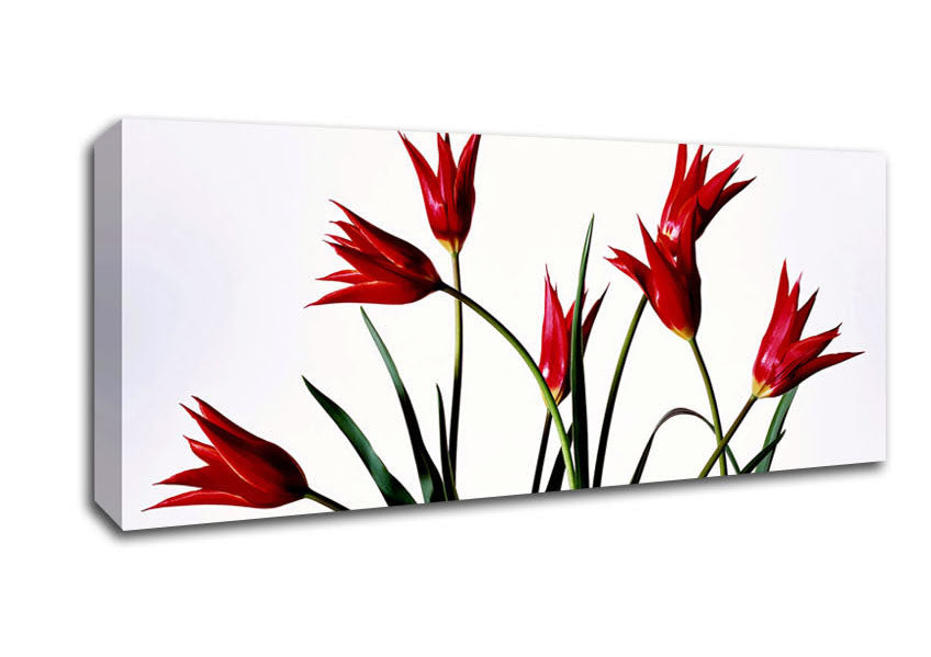 Picture of Red Fire Tulip Bouquet Panoramic Canvas Wall Art