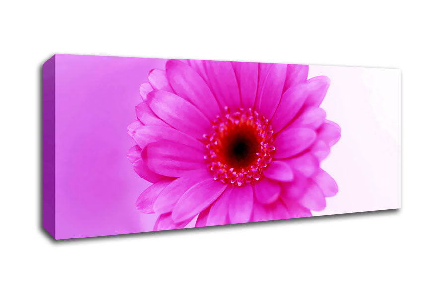 Picture of Pink On Pink Petals Panoramic Canvas Wall Art