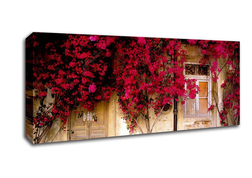Picture of Italian Farmhouse Beauty Panoramic Canvas Wall Art