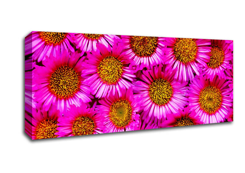 Picture of Sea Of Pink Flowers Panoramic Canvas Wall Art