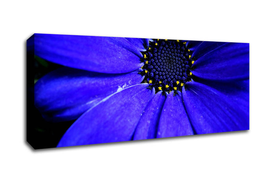 Picture of Electric Blue Petals Panoramic Canvas Wall Art