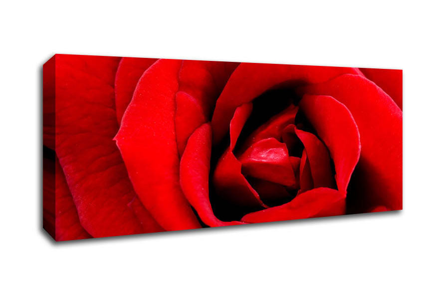 Picture of Red Rose Velvet Petals Panoramic Canvas Wall Art