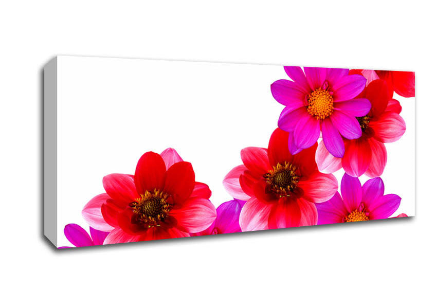 Picture of Pink And Red Flower Heads Panoramic Canvas Wall Art