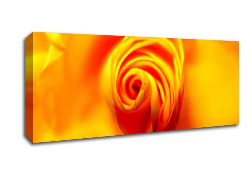 Picture of Golden Rose Centre Panoramic Canvas Wall Art