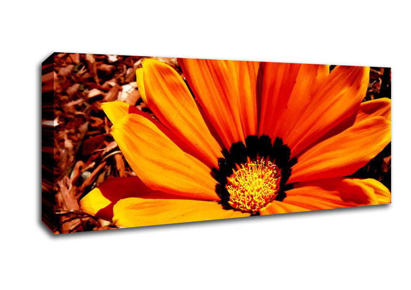 Picture of Fire Orange Beauty Panoramic Canvas Wall Art