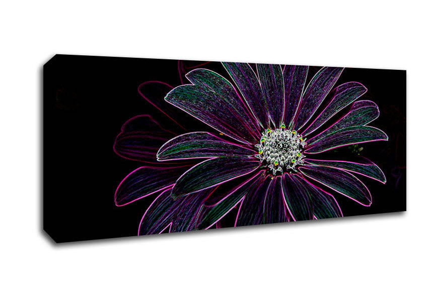 Picture of Abstarct Neon Floral 14 Panoramic Canvas Wall Art