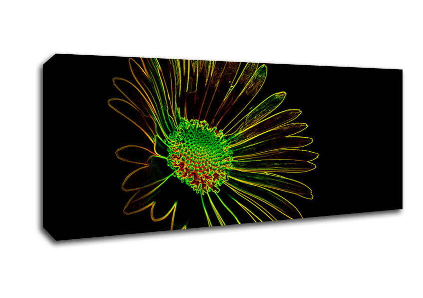 Picture of Abstarct Neon Floral 13 Panoramic Canvas Wall Art