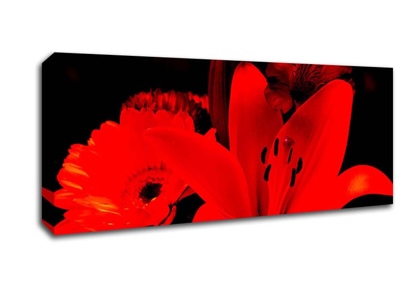 Picture of Infra Red Bloom Panoramic Canvas Wall Art