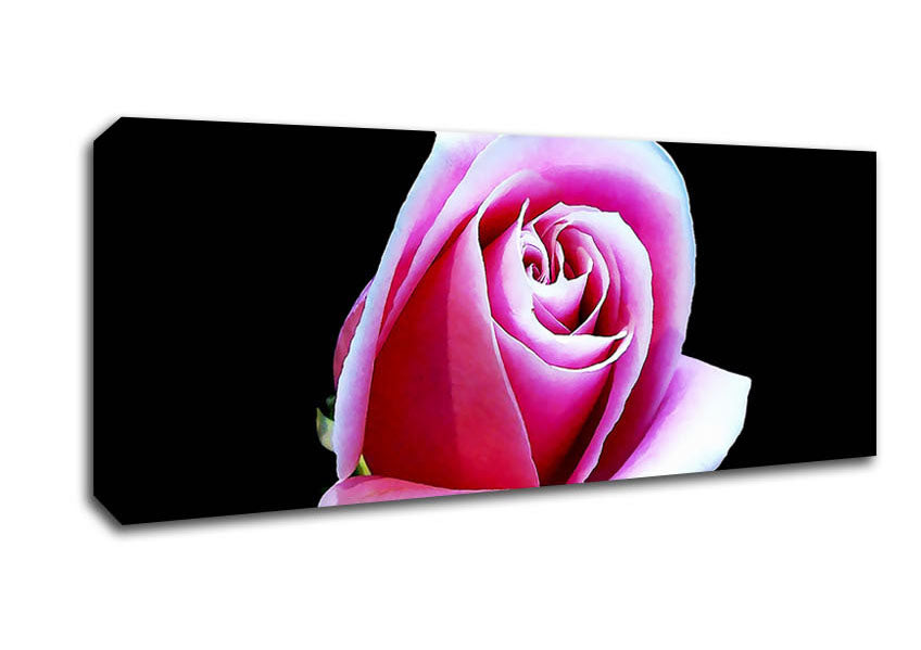 Picture of Pink Rose On Black Panoramic Canvas Wall Art