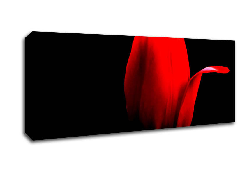 Picture of Fire Red Tulip Petal Panoramic Canvas Wall Art