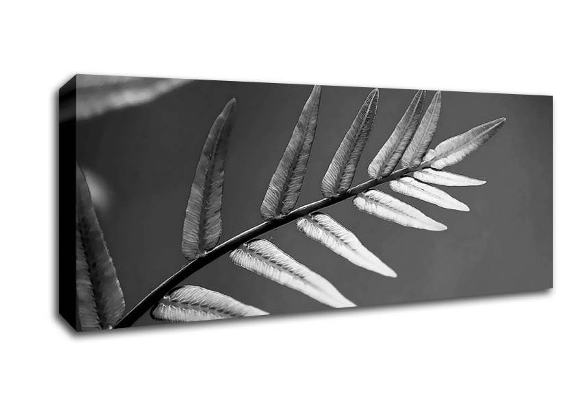 Picture of Grey Leaves Panoramic Canvas Wall Art