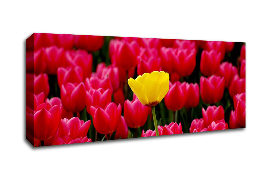 Picture of Tulips Strenth Panoramic Canvas Wall Art