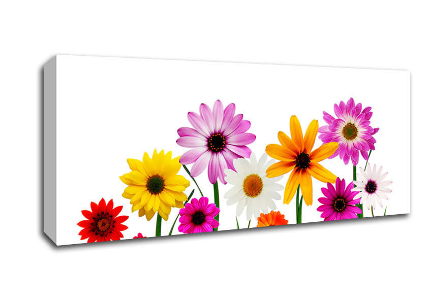 Picture of Garden Flower Party Panoramic Canvas Wall Art