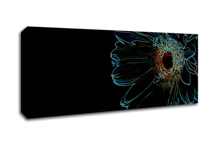 Picture of Night Flower Panoramic Canvas Wall Art