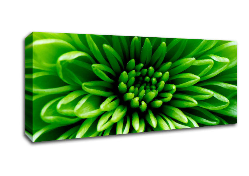 Picture of Green Centre Panoramic Canvas Wall Art