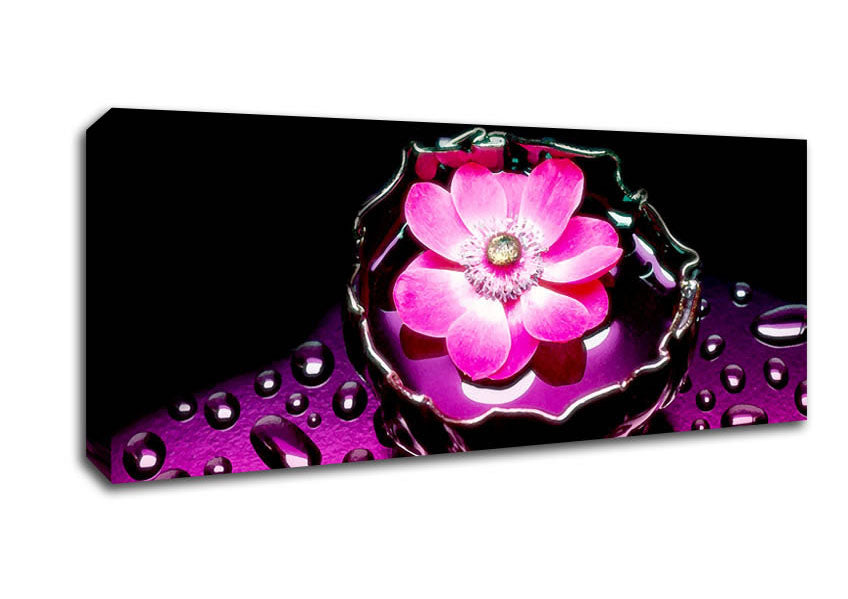 Picture of Pink Flower Splash Panoramic Canvas Wall Art