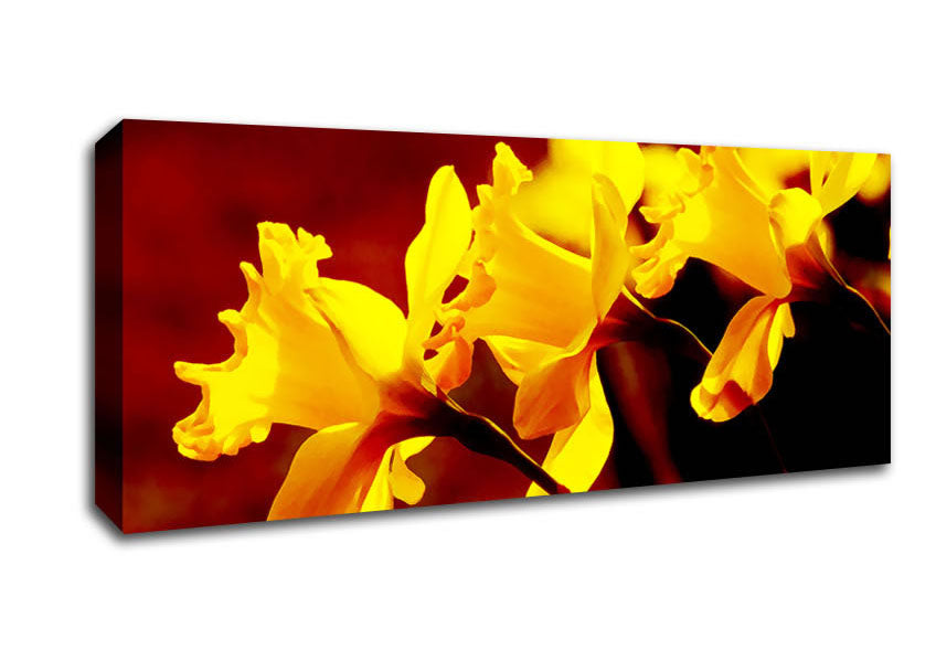 Picture of Golden Daffodil Parade Panoramic Canvas Wall Art