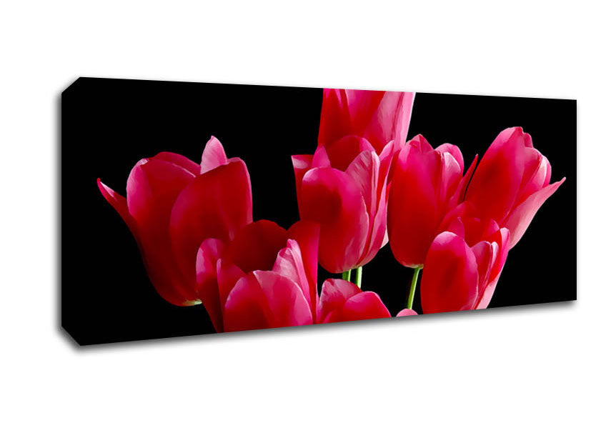 Picture of Flower Cerise Tulips Panoramic Canvas Wall Art
