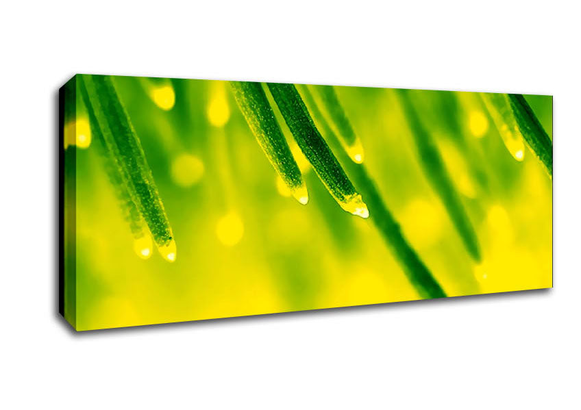 Picture of Energy Of A Plant Panoramic Canvas Wall Art