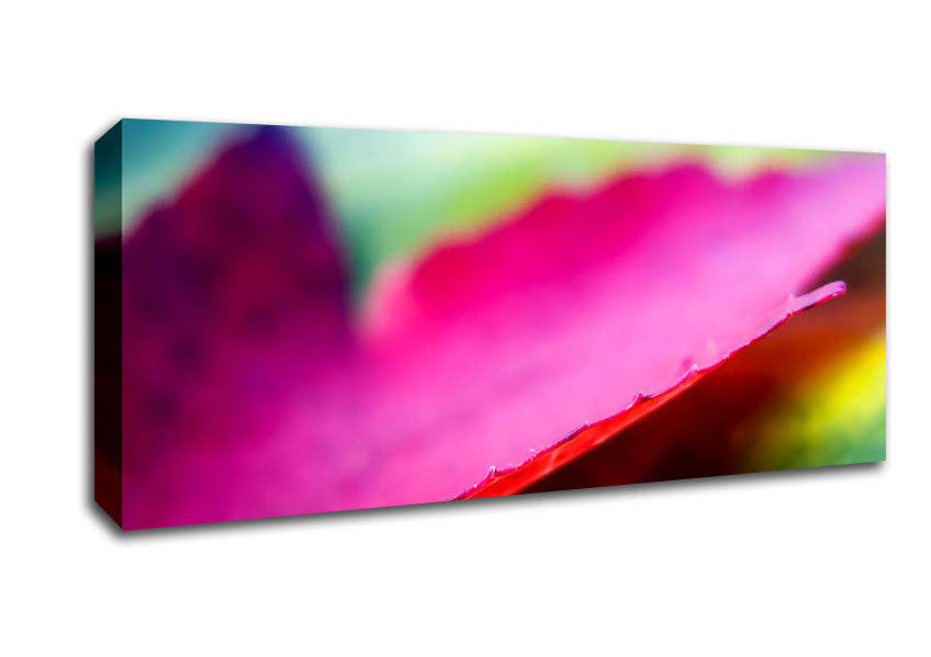 Picture of Pink Autumn Leave Panoramic Canvas Wall Art