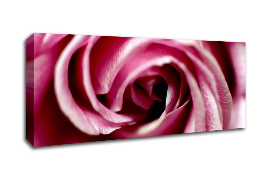 Picture of Pink Rose Centre Panoramic Canvas Wall Art