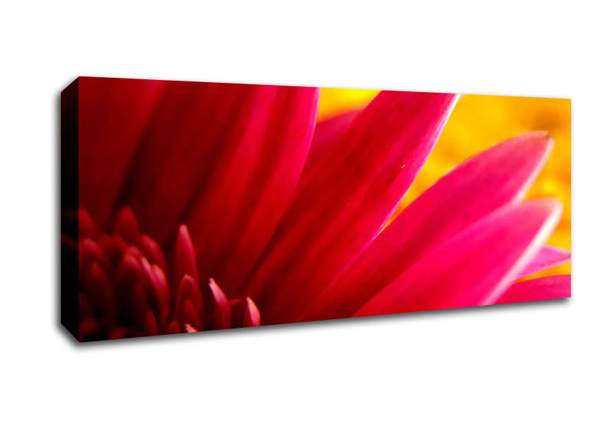 Picture of Vibrant Pink Petals On Yellow Panoramic Canvas Wall Art