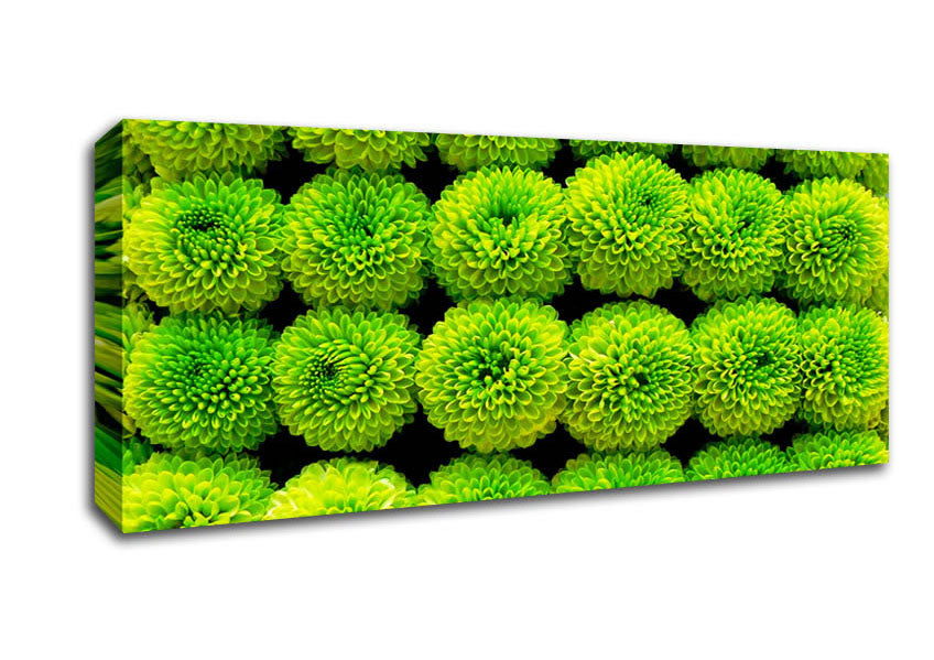 Picture of Green Parade Panoramic Canvas Wall Art