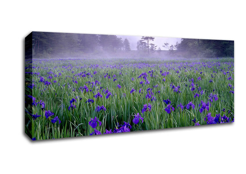 Picture of Bluebell Mist Panoramic Canvas Wall Art