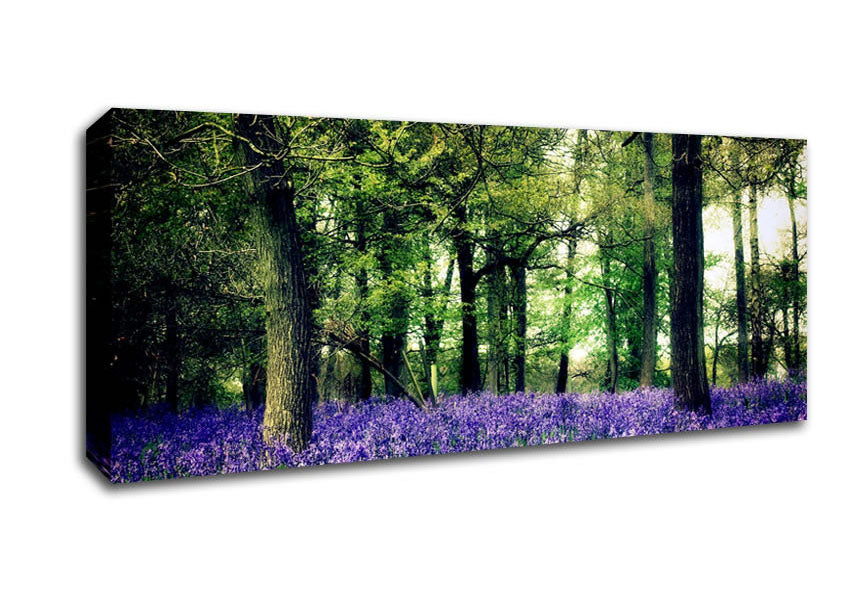 Picture of Bluebell Woodland Panoramic Canvas Wall Art