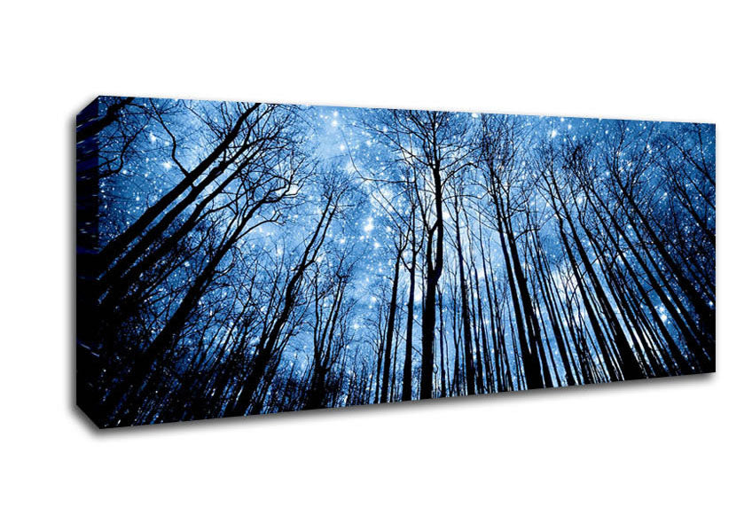 Picture of Starry Night In The Forest Panoramic Canvas Wall Art