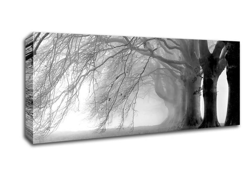 Picture of Heavy Branches Panoramic Canvas Wall Art