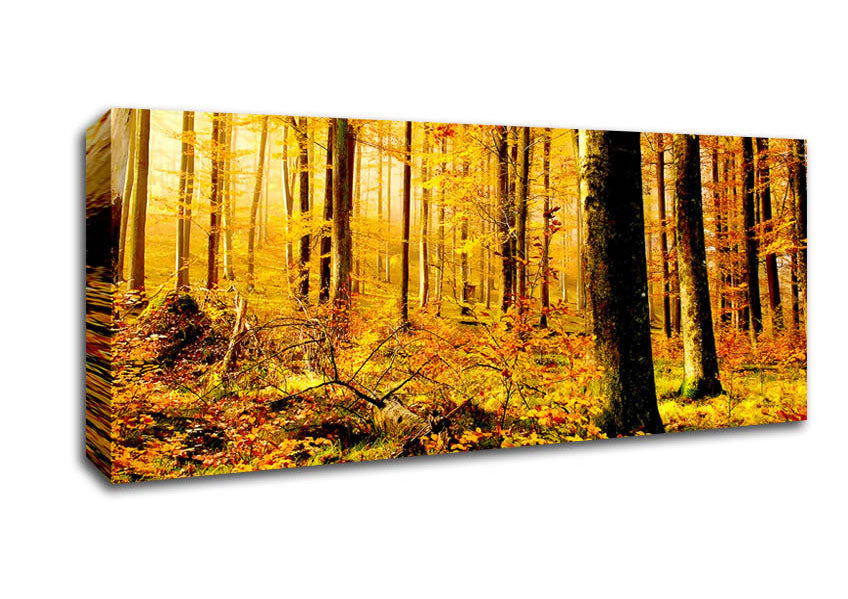 Picture of German Forest In Autumn Panoramic Canvas Wall Art