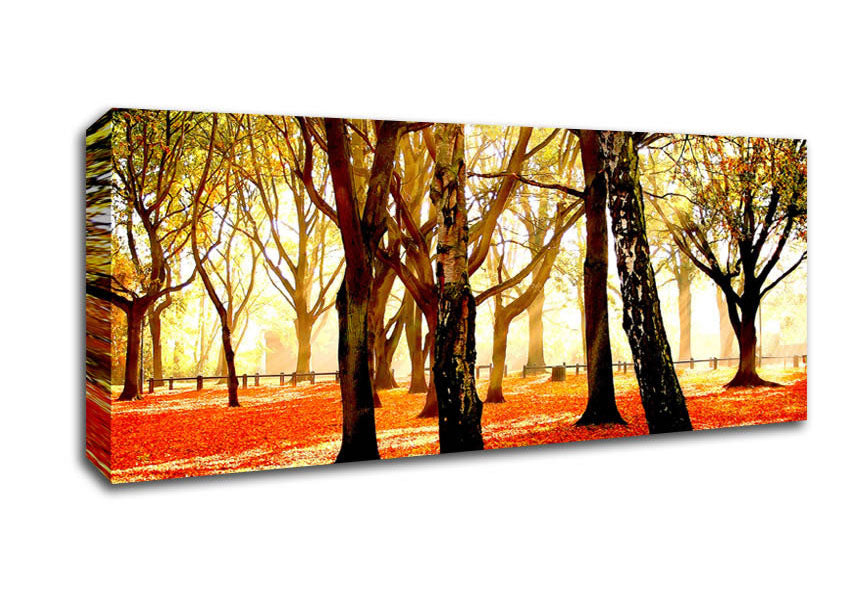 Picture of Warm Sunlight Panoramic Canvas Wall Art