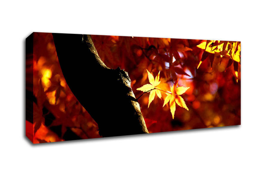 Picture of Tree Trunk Autumn Panoramic Canvas Wall Art