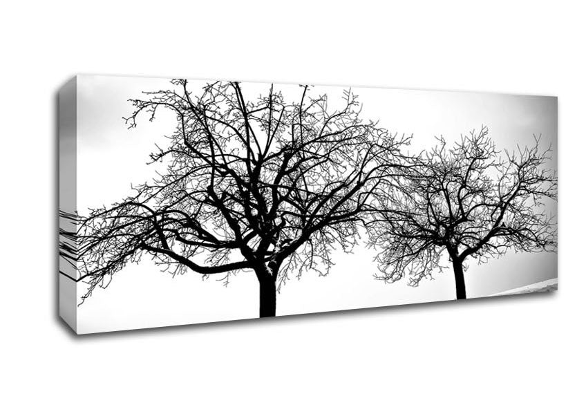 Picture of Trees In Winter Panoramic Canvas Wall Art