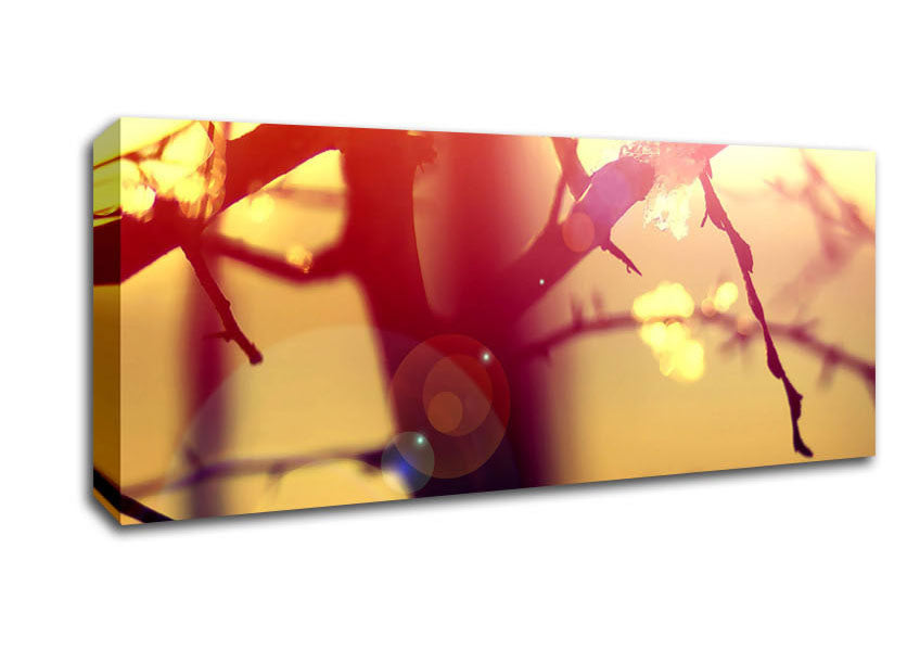Picture of Winter Sunlight Panoramic Canvas Wall Art